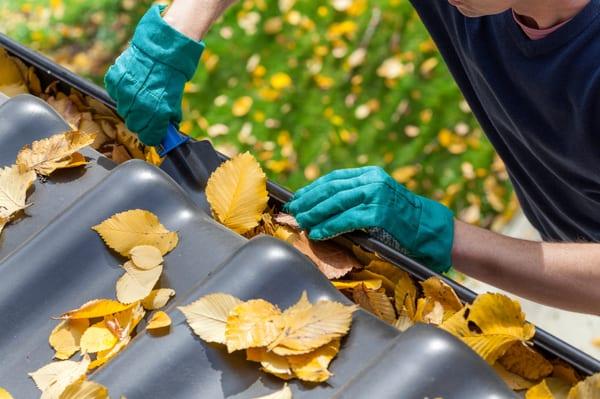 Paneless Window Cleaning