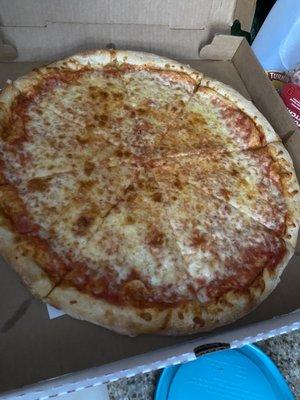 Large Plain Pizza