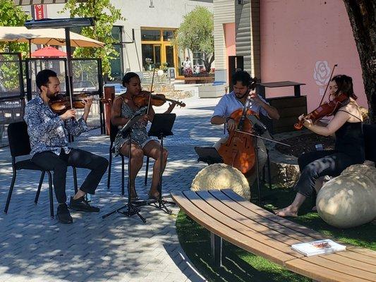 Music In the Vineyards