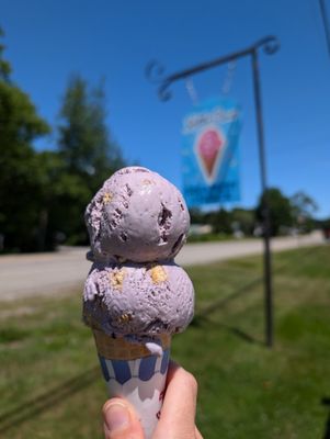 Blueberry Pie. One of their signature ice cream flavors!