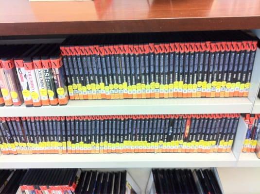 Somebody at the library really really likes Dr. Who.