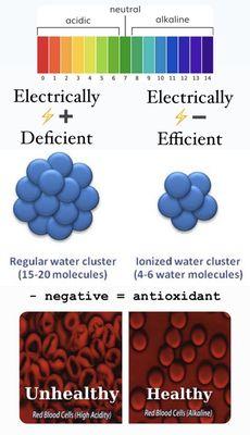 Unhealthy VS Healthy! Change your water change your life..