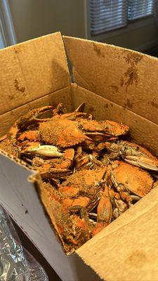 Blue Crabs