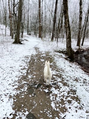 Agawam Dog Park