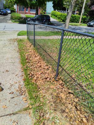 We also specialize in leaf clean-ups. Before Leaf Clean-Up.