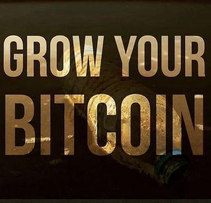 Grow your bitcoin, it's the future of world economy