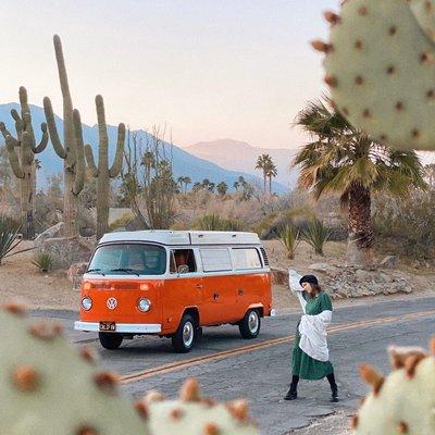 Joshua Tree Campervan Rental