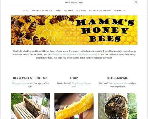 Matt from Hamm's Honey Bees, was in the process of starting his own apiary.  He wanted a website that would promote his honey...