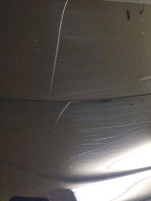 More scratches on trunk lid/rear spoiler.