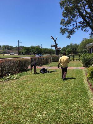 The longest yard! Remember that flick? Jerry and Larry inspecting these masterpiece