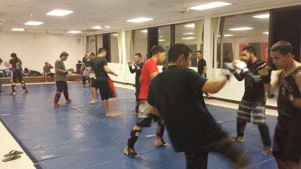 Adult MMA training.