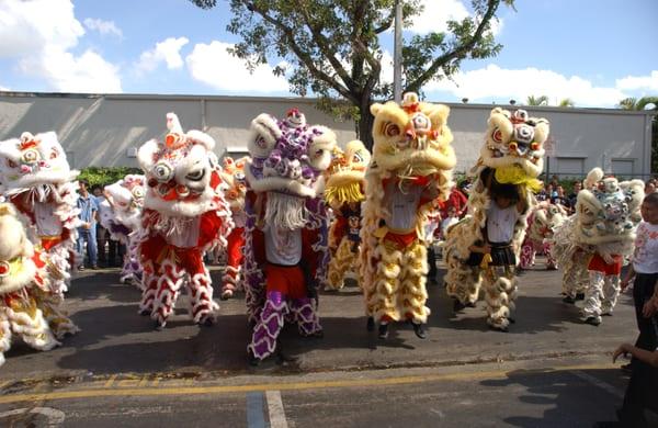 Lion Dance Performance Team