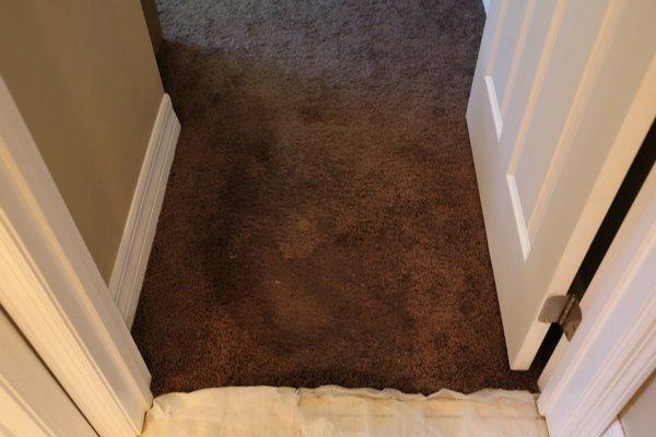 Sewage water in carpet