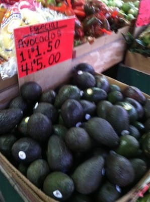 Avacado at reasonable prices!