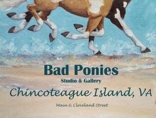 Bad Ponies Studio & Gallery