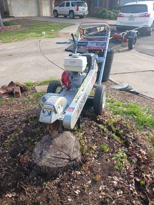 Removed brick retainer wall before we grinded stump.