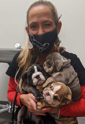 Dr Baker & TLS bulldog pups