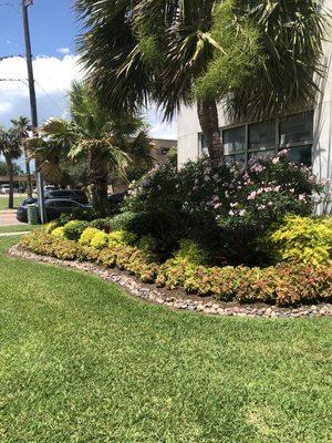 Installed fresh seasonal flowers in Galveston Texas