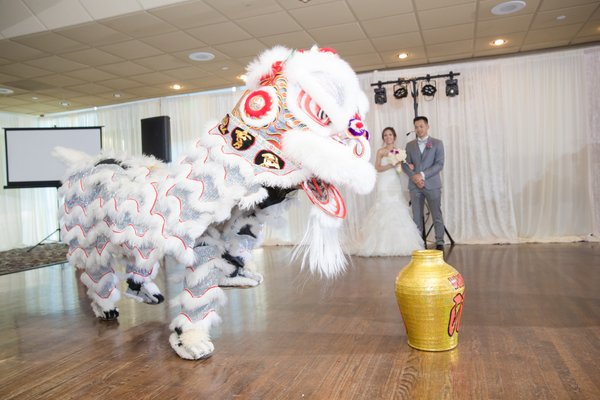 Rising Phoenix Lion & Dragon Dance Association performance at wedding