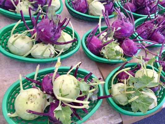 Kohlrabi is in season!