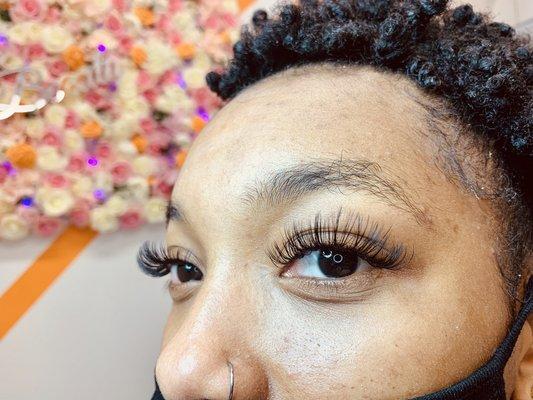 Volume Lashes