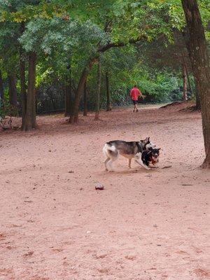 Chandon Dog Park