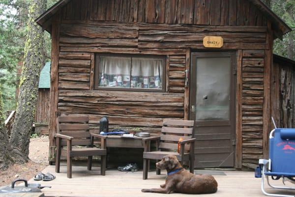 Shady Cabin