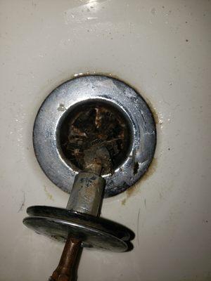 Clogged drain