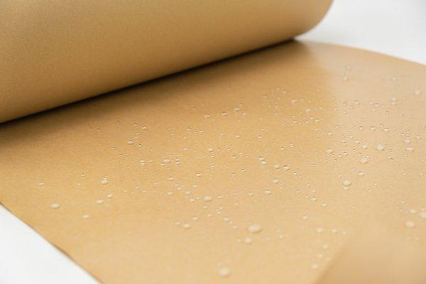 Poly Coated Paper