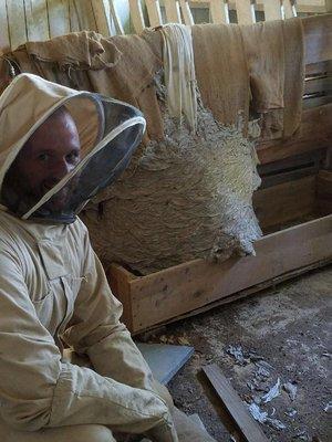 One of our Technicians treating a HUGE yellow jacket nest. Without the proper equipment this can be a very dangerous undertaking!