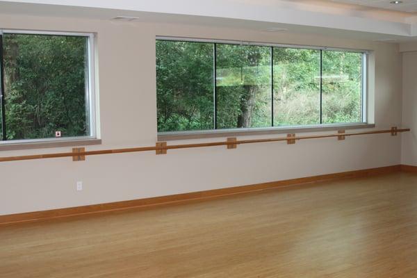 Heated bamboo Yoga floors with a beautiful view out the windows into nature.