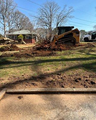 Stump tree removal by Sean Conway