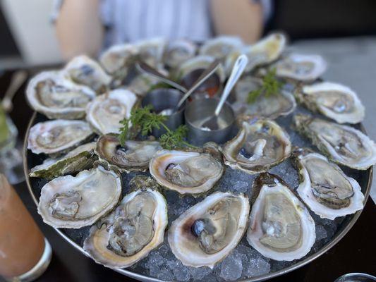 A dozen each of gulf + east coast oysters