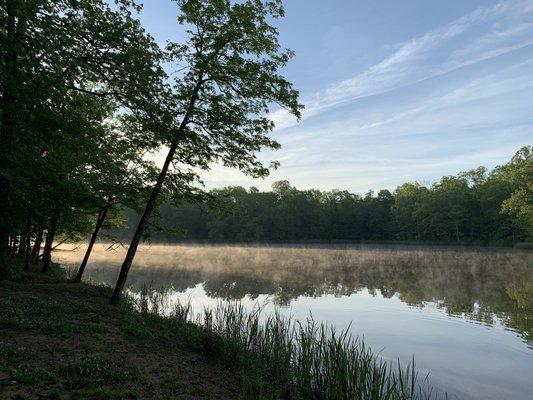 Love the early morning mist and birds singing at Jennings Ferry Campground.