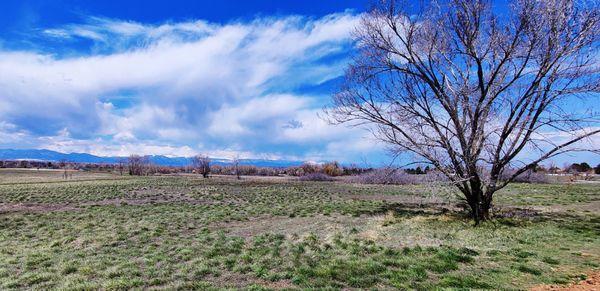 Views along the trail