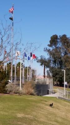 Avenue of Flags