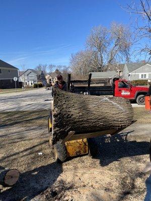 Log removal in Buffalo Grove, Illinois