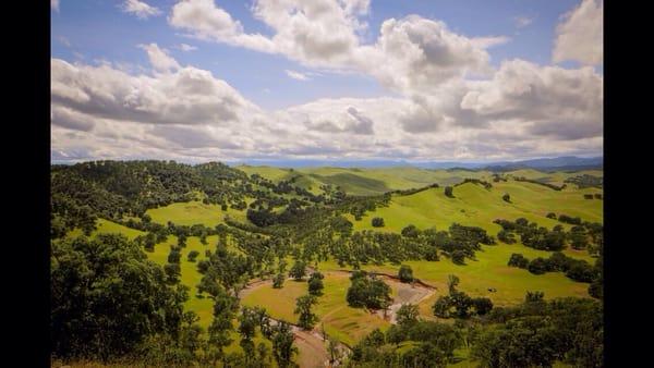 Bald Hills Cottonwood California