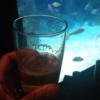 Enjoying a brew in the SciQuarium.