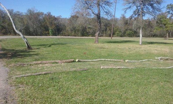 Our Star gazer tent sites.