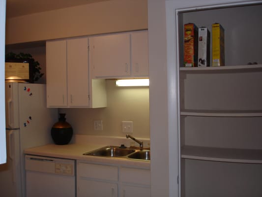 More cabinets AND a pantry on this side of your kitchen!