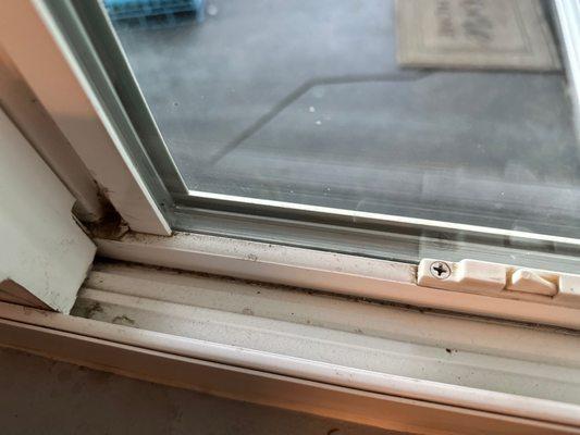 Dirt that comes through windows with more of that stuff not sure what it is. This window was cleaned out right before rain this week.