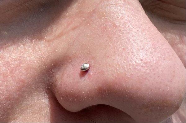 Brand new piercing!