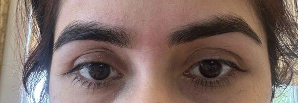 This is the final look  my both eyebrows were in different shapes. I hope get them back in shape soon but please:(