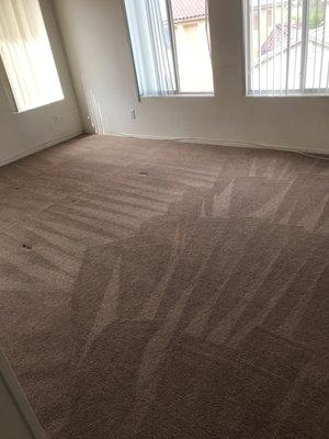 Carpet deep cleaning