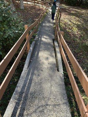 Cement bridge caving in which was the walkway from the cabins to the gym and main gathering areas.