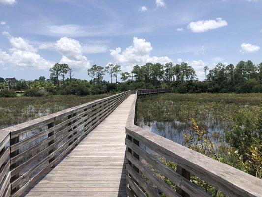 Acreage Pines Natural Area