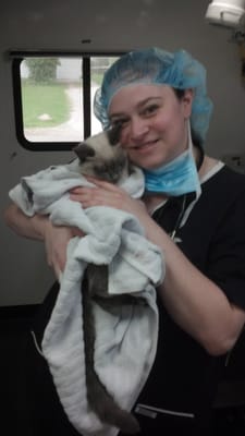 Vet Tech Keri with one of our feline patients.