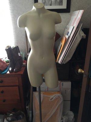 One of my half torso manni's. Molded plastic. On a heavy duty metal stand, and the height is adjustable. Can separate.