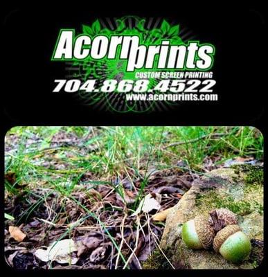 Acorn Prints